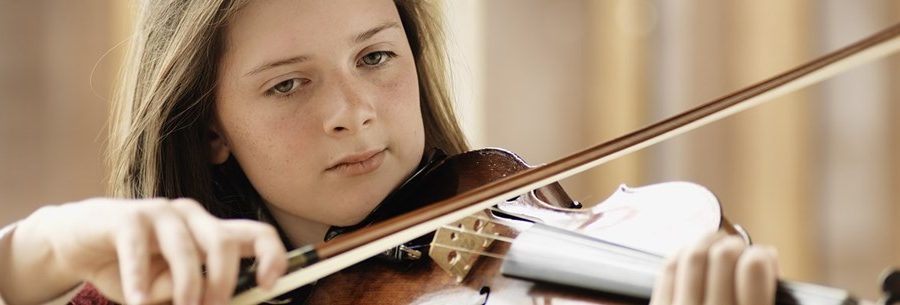 violin 13