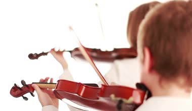 violin 14