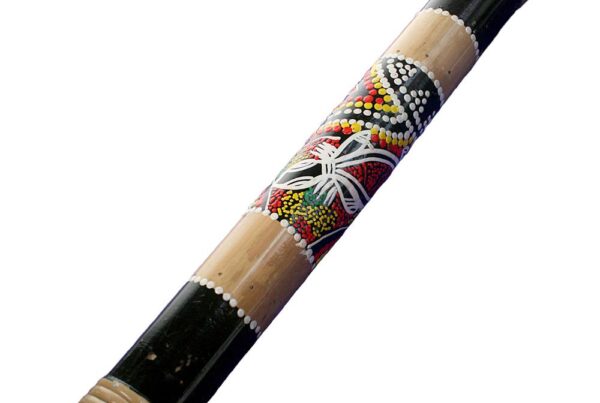 rainstick 1